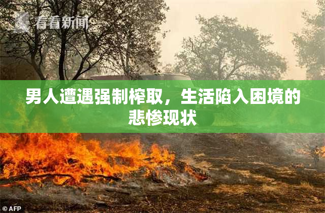 男人遭遇强制榨取，生活陷入困境的悲惨现状