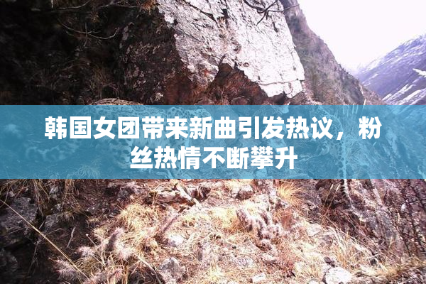 韩国女团带来新曲引发热议，粉丝热情不断攀升