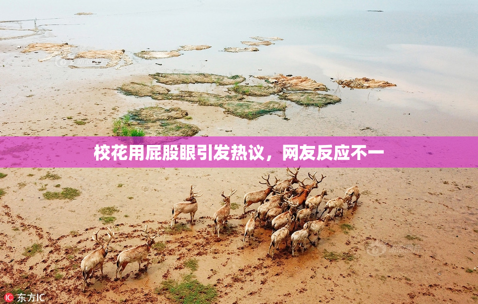 校花用屁股眼引发热议，网友反应不一