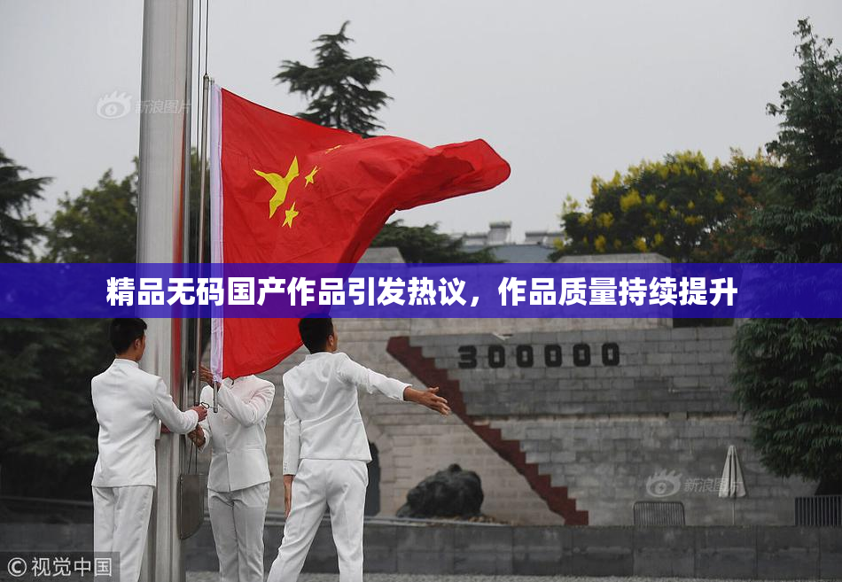 精品无码国产作品引发热议，作品质量持续提升