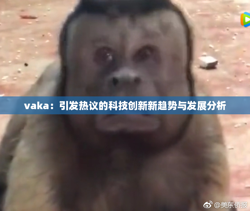 vaka：引发热议的科技创新新趋势与发展分析