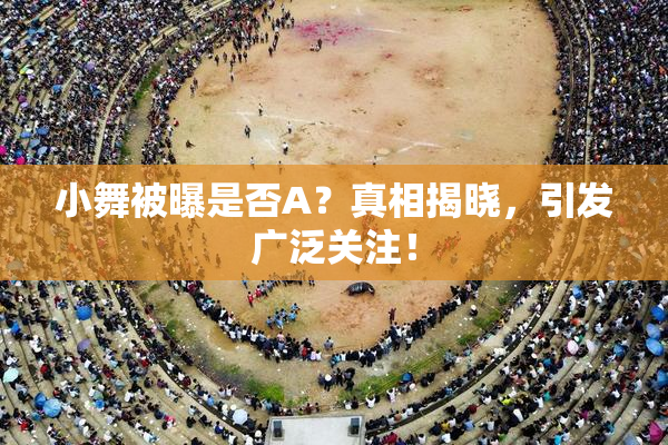 小舞被曝是否A？真相揭晓，引发广泛关注！