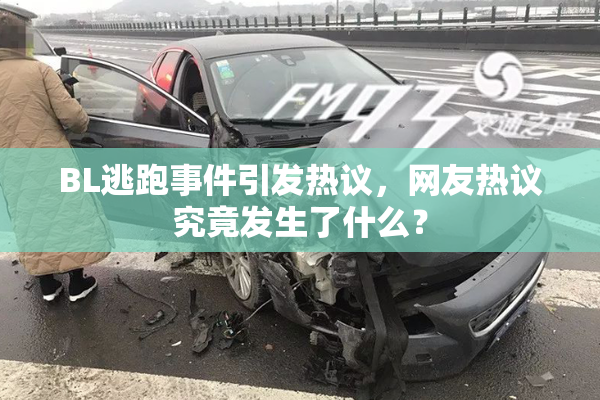 BL逃跑事件引发热议，网友热议究竟发生了什么？