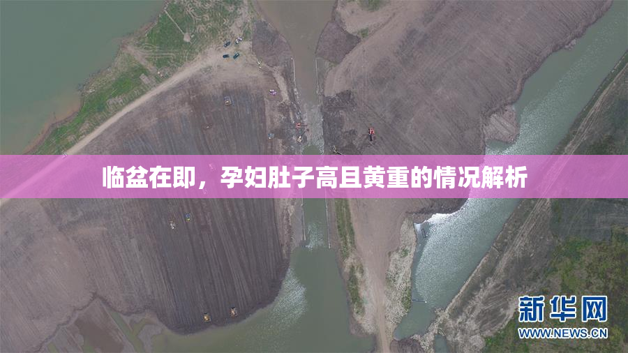 临盆在即，孕妇肚子高且黄重的情况解析