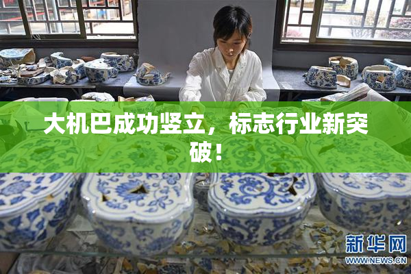 大机巴成功竖立，标志行业新突破！