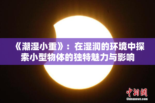 《潮湿小重》：在湿润的环境中探索小型物体的独特魅力与影响