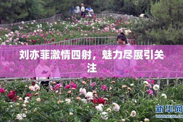 刘亦菲激情四射，魅力尽展引关注
