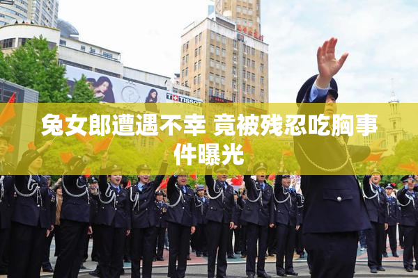 兔女郎遭遇不幸 竟被残忍吃胸事件曝光