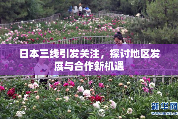 日本三线引发关注，探讨地区发展与合作新机遇