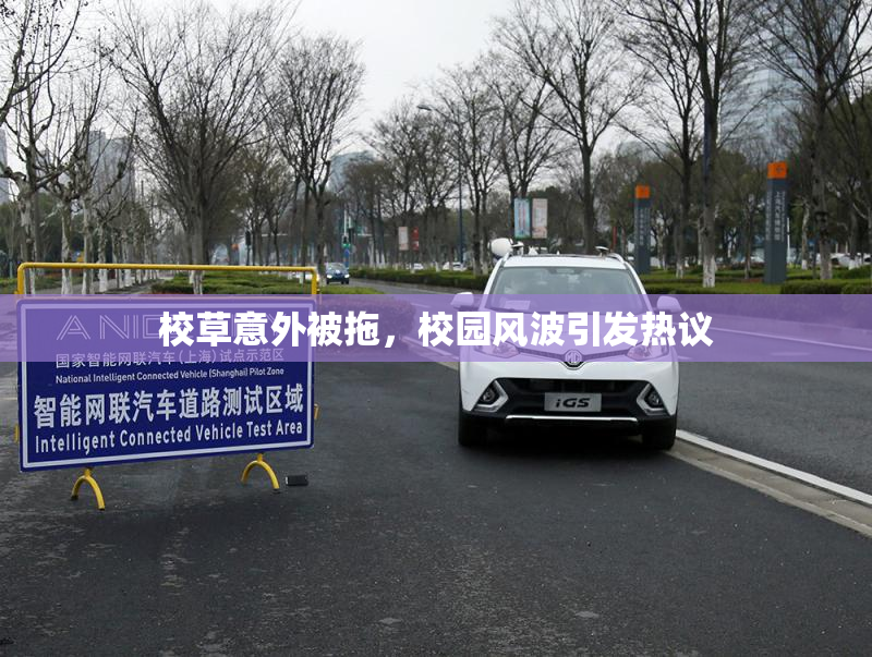 校草意外被拖，校园风波引发热议