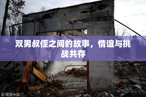 双男叔侄之间的故事，情谊与挑战共存