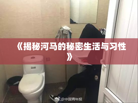 《揭秘河马的秘密生活与习性》