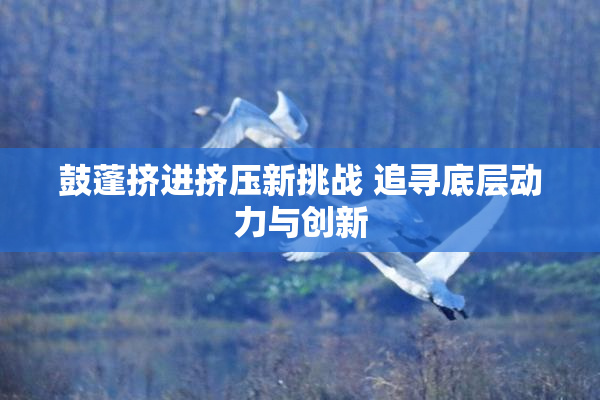 鼓蓬挤进挤压新挑战 追寻底层动力与创新