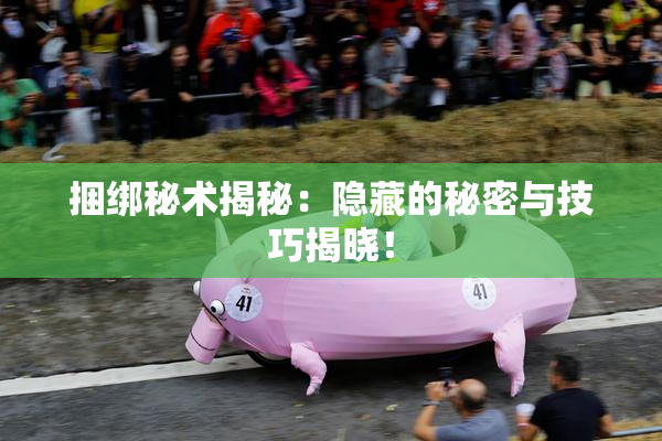 捆绑秘术揭秘：隐藏的秘密与技巧揭晓！