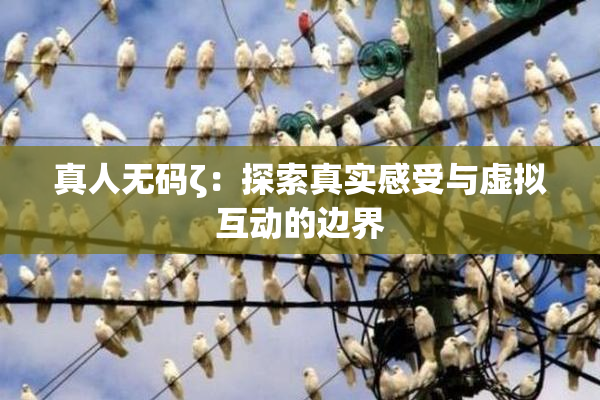 真人无码ζ：探索真实感受与虚拟互动的边界