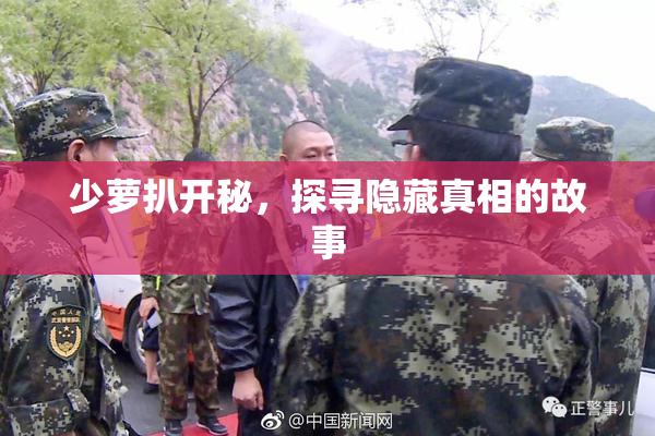 少萝扒开秘，探寻隐藏真相的故事