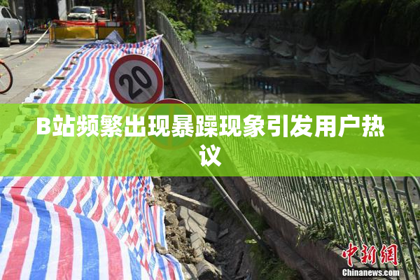 B站频繁出现暴躁现象引发用户热议