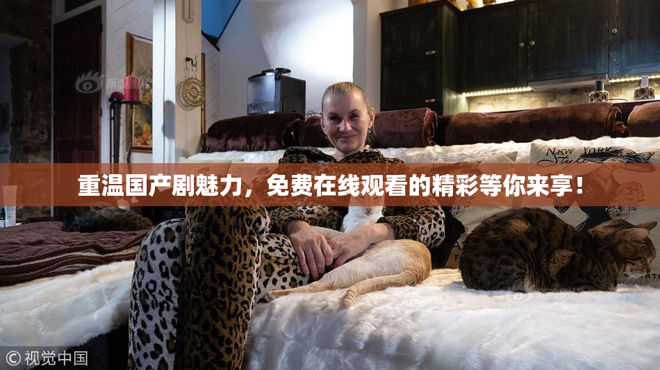 重温国产剧魅力，免费在线观看的精彩等你来享！