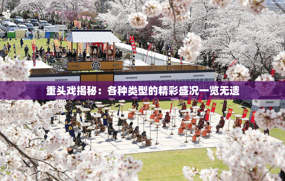 重头戏揭秘：各种类型的精彩盛况一览无遗