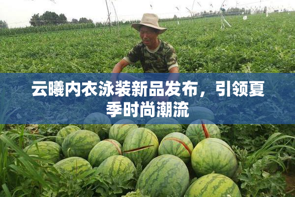 云曦内衣泳装新品发布，引领夏季时尚潮流