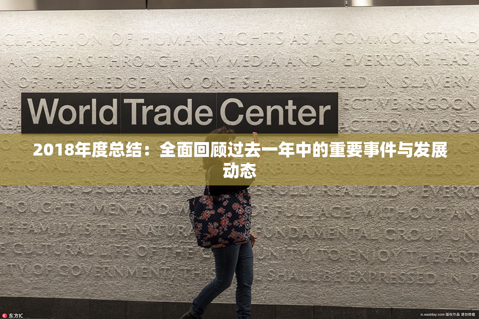 2018年度总结：全面回顾过去一年中的重要事件与发展动态
