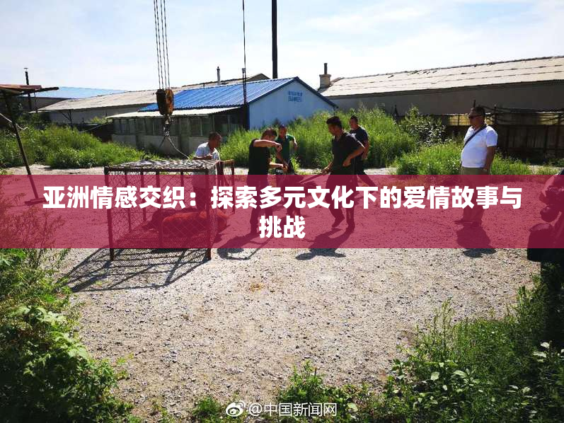 亚洲情感交织：探索多元文化下的爱情故事与挑战