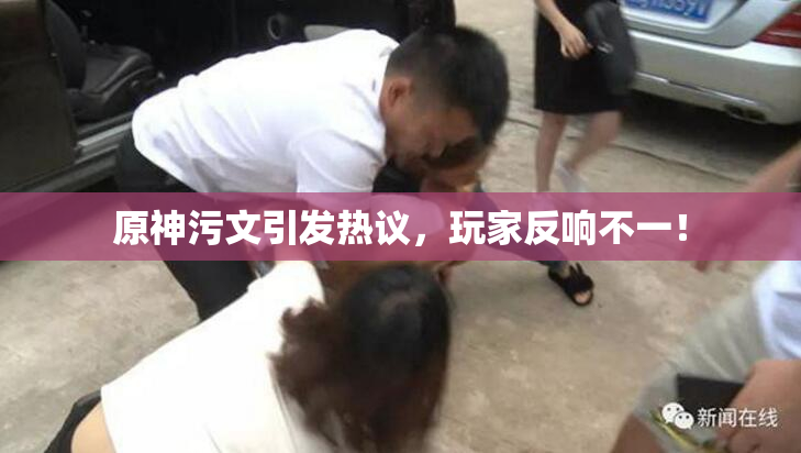 原神污文引发热议，玩家反响不一！