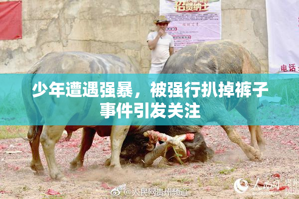 少年遭遇强暴，被强行扒掉裤子事件引发关注
