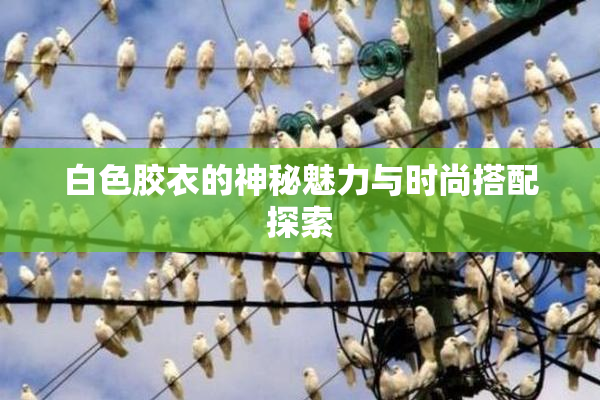 白色胶衣的神秘魅力与时尚搭配探索