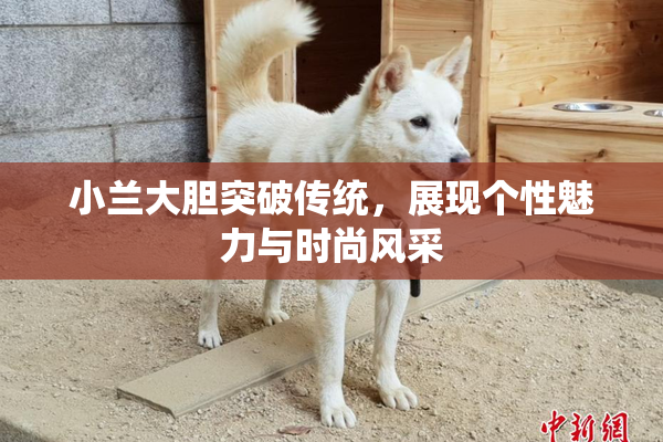 小兰大胆突破传统，展现个性魅力与时尚风采