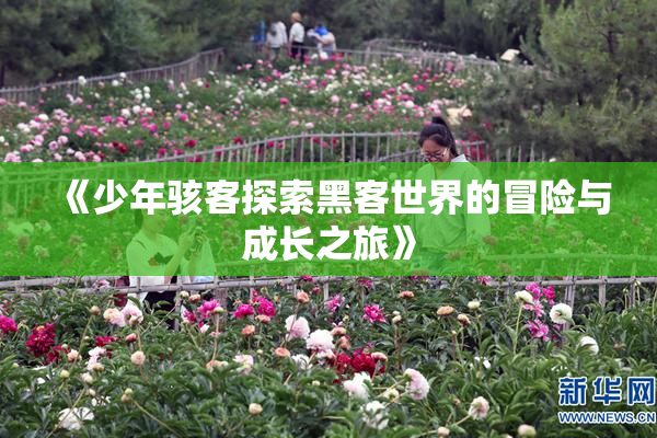 《少年骇客探索黑客世界的冒险与成长之旅》