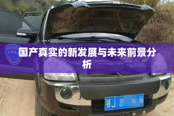 国产真实的新发展与未来前景分析