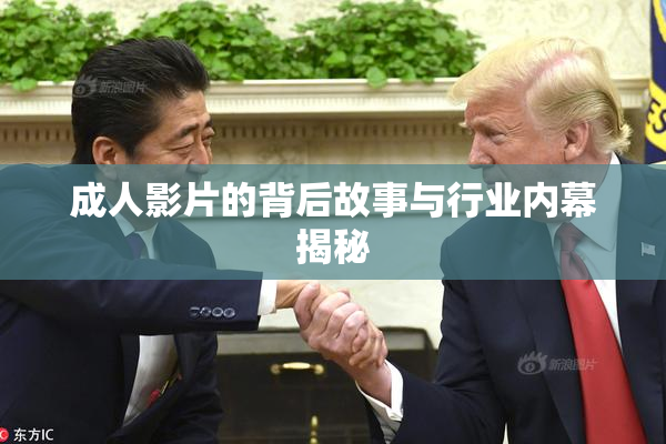 成人影片的背后故事与行业内幕揭秘