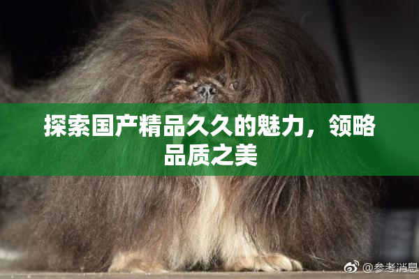 探索国产精品久久的魅力，领略品质之美