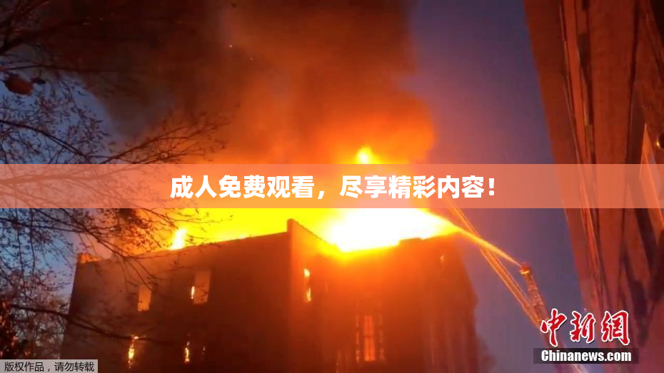 成人免费观看，尽享精彩内容！