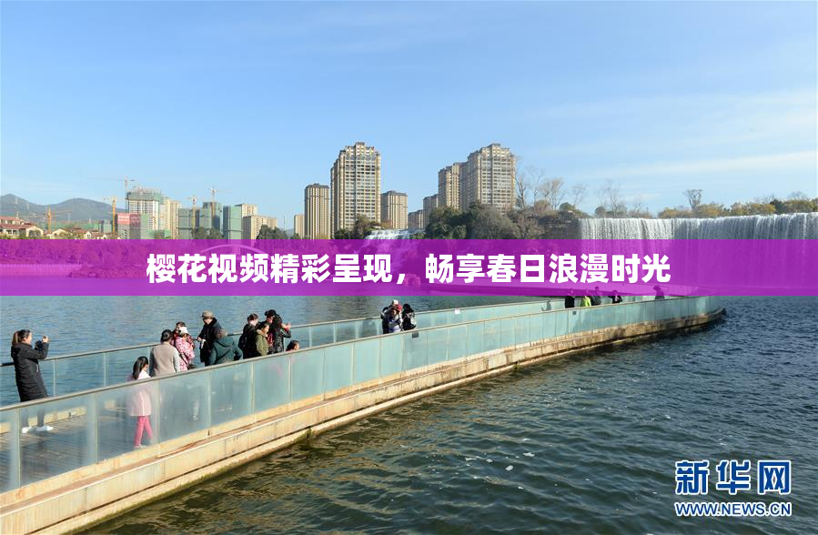 樱花视频精彩呈现，畅享春日浪漫时光