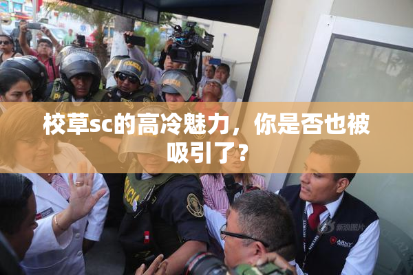 校草sc的高冷魅力，你是否也被吸引了？