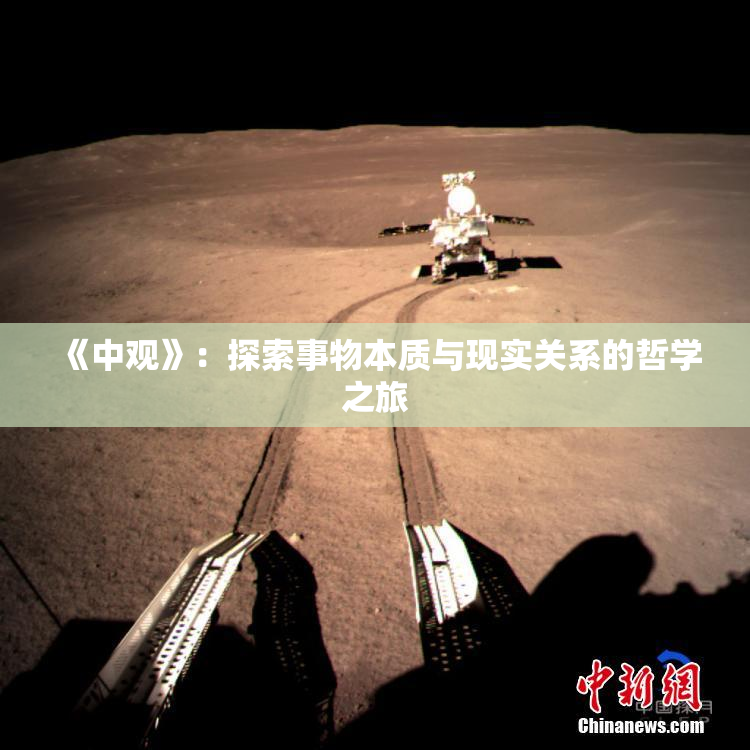 《中观》：探索事物本质与现实关系的哲学之旅