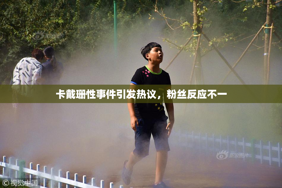 卡戴珊性事件引发热议，粉丝反应不一