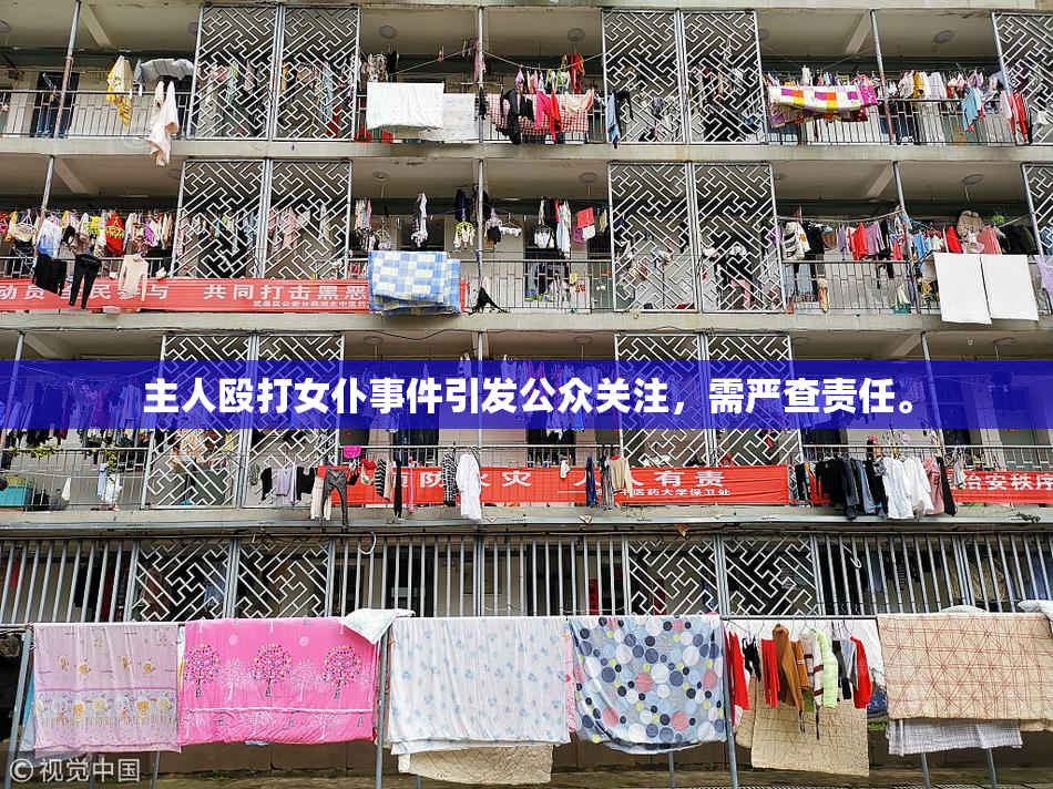 主人殴打女仆事件引发公众关注，需严查责任。