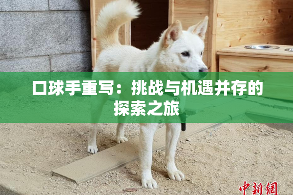 口球手重写：挑战与机遇并存的探索之旅