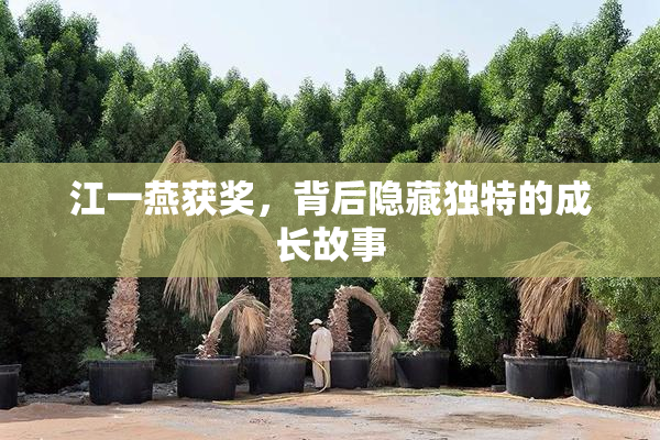 江一燕获奖，背后隐藏独特的成长故事