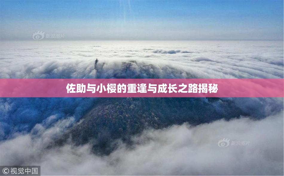 佐助与小樱的重逢与成长之路揭秘