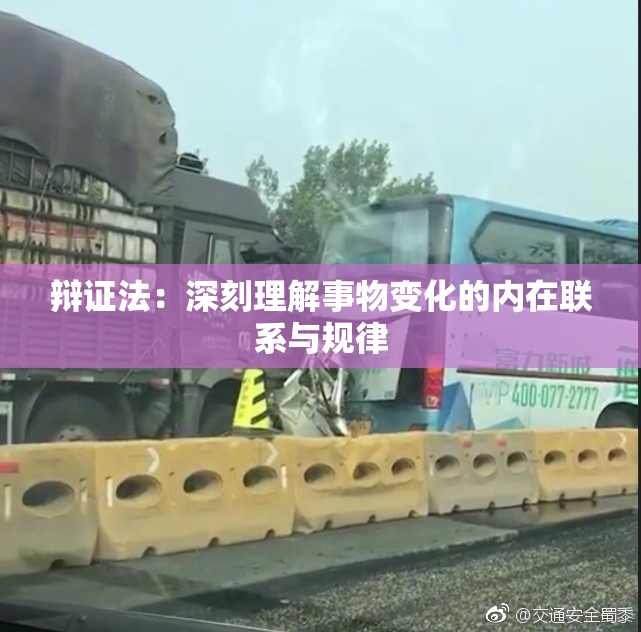 辩证法：深刻理解事物变化的内在联系与规律