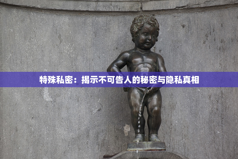 特殊私密：揭示不可告人的秘密与隐私真相