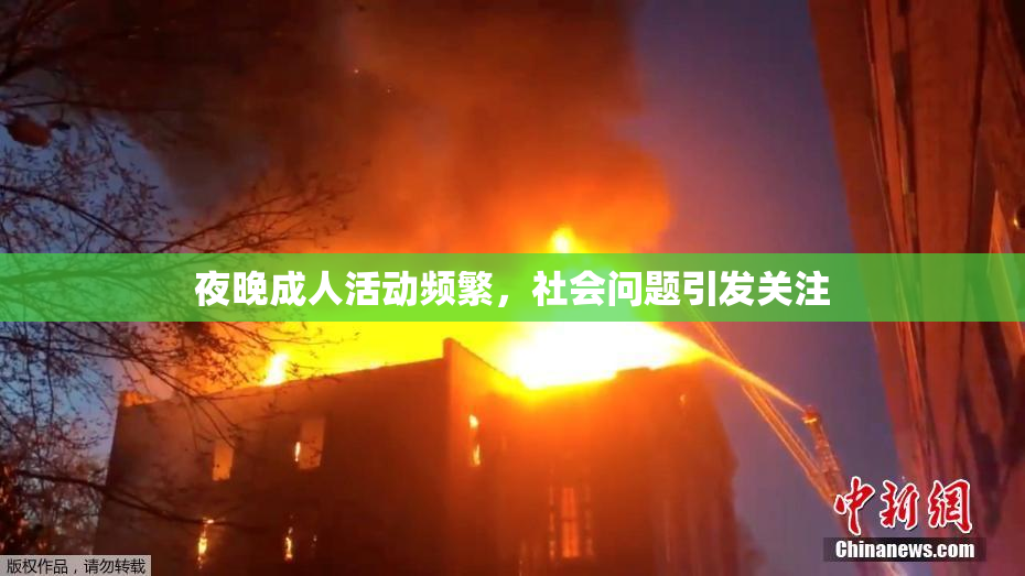 夜晚成人活动频繁，社会问题引发关注