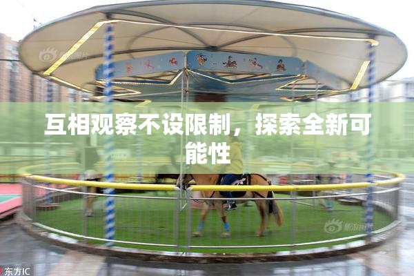 互相观察不设限制，探索全新可能性