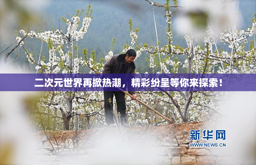 二次元世界再掀热潮，精彩纷呈等你来探索！