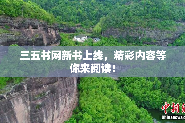 三五书网新书上线，精彩内容等你来阅读！