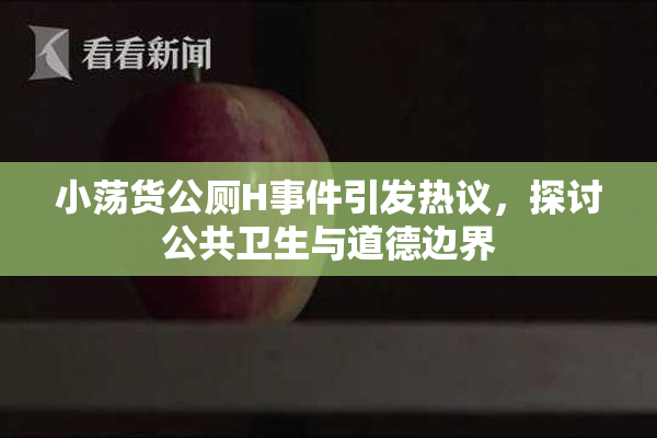 小荡货公厕H事件引发热议，探讨公共卫生与道德边界